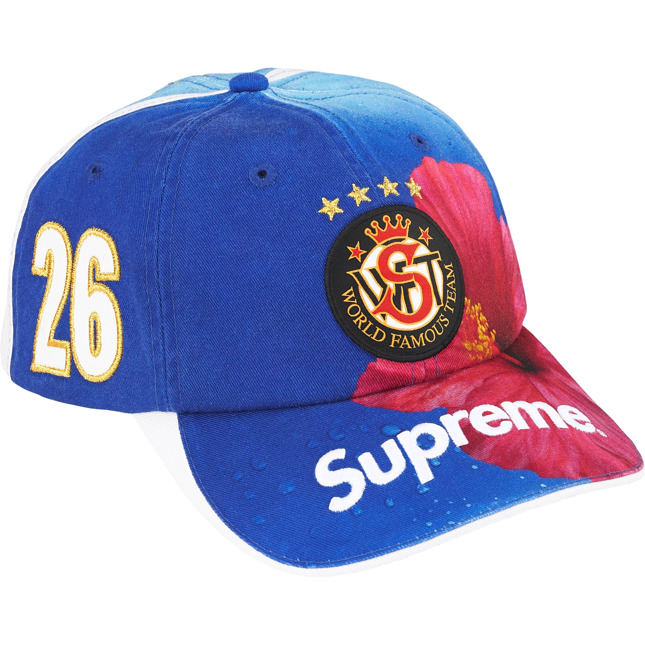 Supreme®/FIJI® 6-Panel view 2